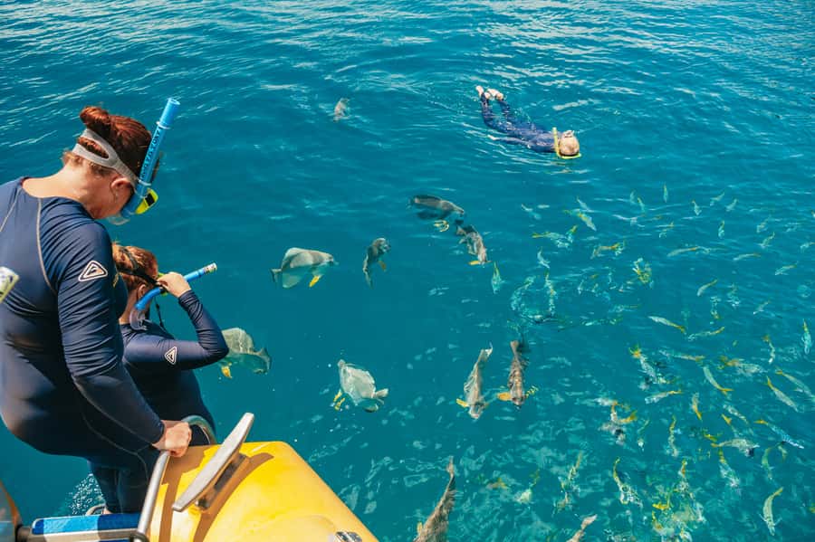 Airlie Beach: Snorkel, Hill Inlet Lookout & Whitehaven Beach - Final call: should you book Airlie Beach Snorkel, Hill Inlet Lookout & Whitehaven Beach?