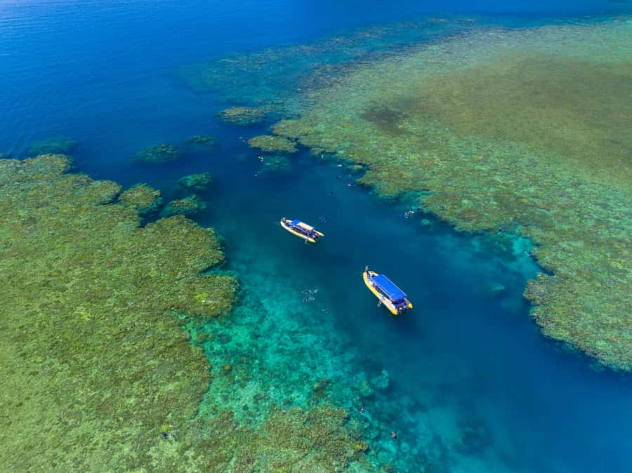 Airlie Beach: Snorkel, Hill Inlet Lookout & Whitehaven Beach - Hill Inlet lookout and direct Whitehaven beach access