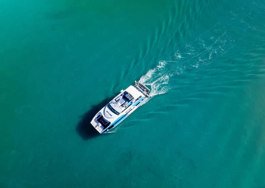 Airlie Beach: Visit Hill Inlet Lookout and Whitehaven Beach - Price and value at about $162 per person