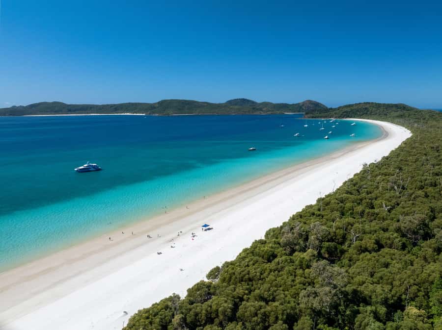 Airlie Beach: Visit Hill Inlet Lookout and Whitehaven Beach - Whitehaven Beach time: silica sand, swimming, and stinger suits