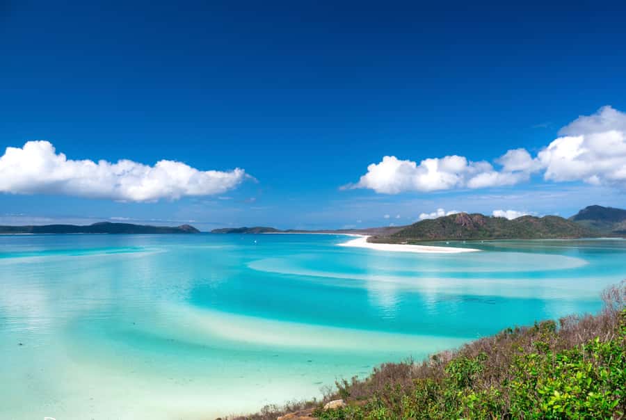 Airlie Beach: Whitehaven Beach Cruise and Hill Inlet - A Full Whitsunday Day From Airlie Beach: What 11 Hours Adds Up To