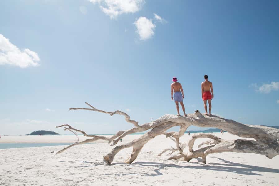 Airlie Beach: Whitehaven Beach Cruise and Hill Inlet - Price and Value: Is $190 a Good Deal?