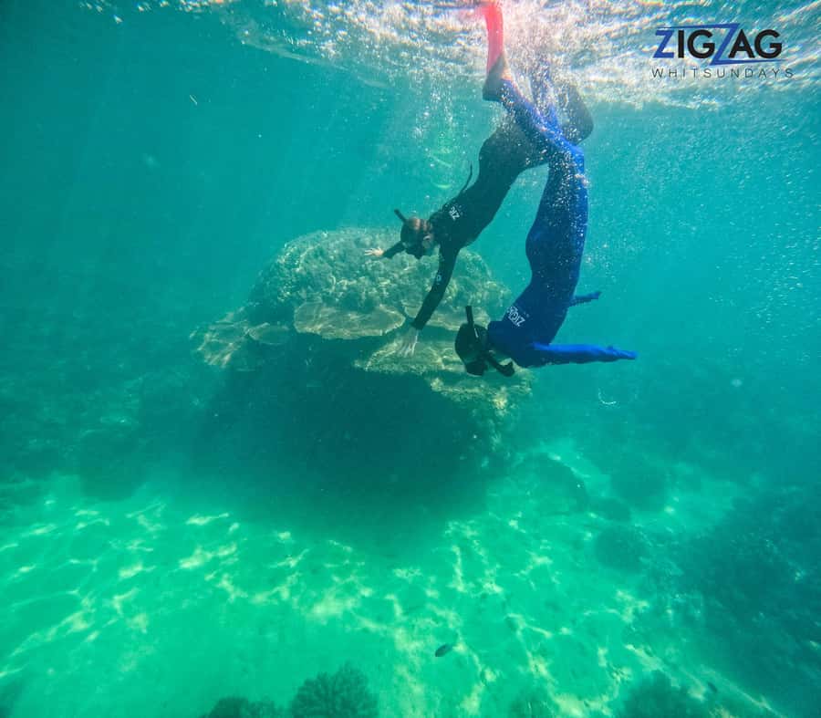 Airlie Beach: Whitehaven Beach Day Tour with Snorkel Option - Super Flyer from Airlie Beach, what makes this day trip feel easier