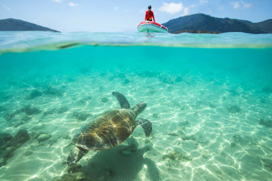 Airlie Beach: Whitehaven Full-Day Eco-Cruise with Buffet - Key things to know before you go