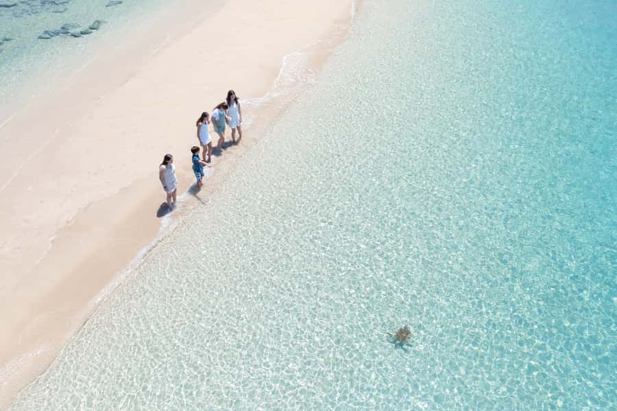 Airlie Beach: Whitehaven Full-Day Eco-Cruise with Buffet - Lunch and snacks that actually keep you happy
