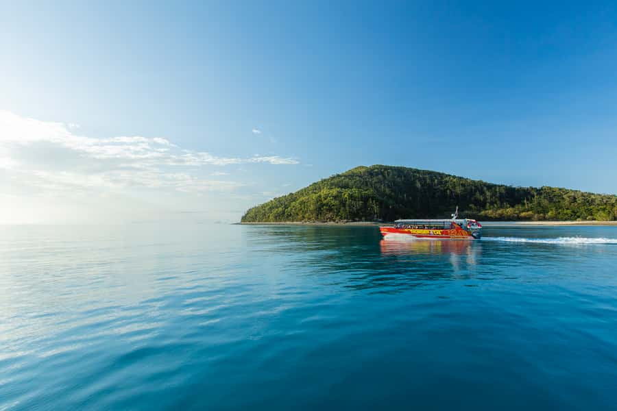 Airlie Beach: Whitehaven Full-Day Eco-Cruise with Buffet - Climate Action Leading, what that means for your day
