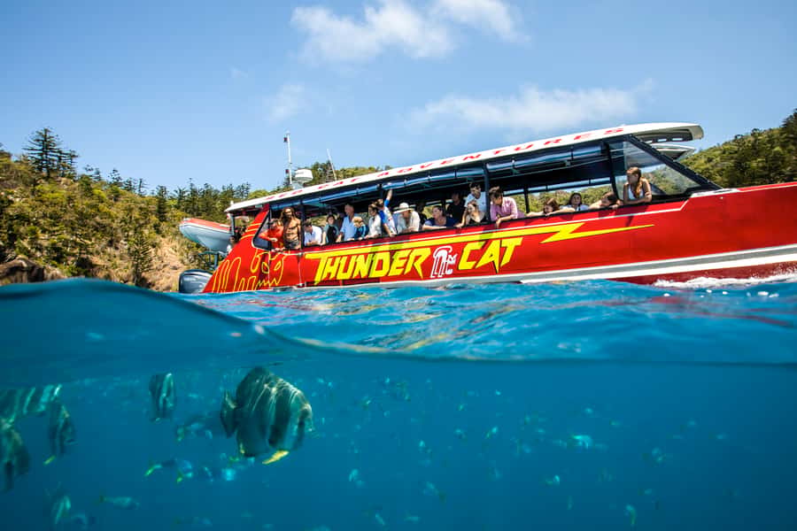 Airlie Beach: Whitehaven Full-Day Eco-Cruise with Buffet - Should you book this Whitehaven full-day eco-cruise?