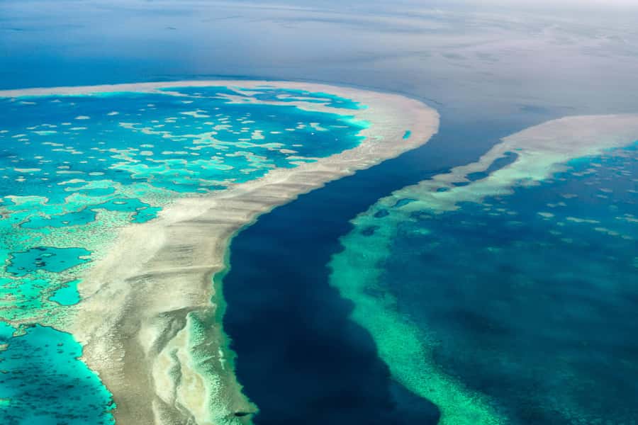 Airlie Beach: Whitsunday Islands & Heart Reef Scenic Flight - Why this 65-minute Whitsunday and Heart Reef flight feels like value