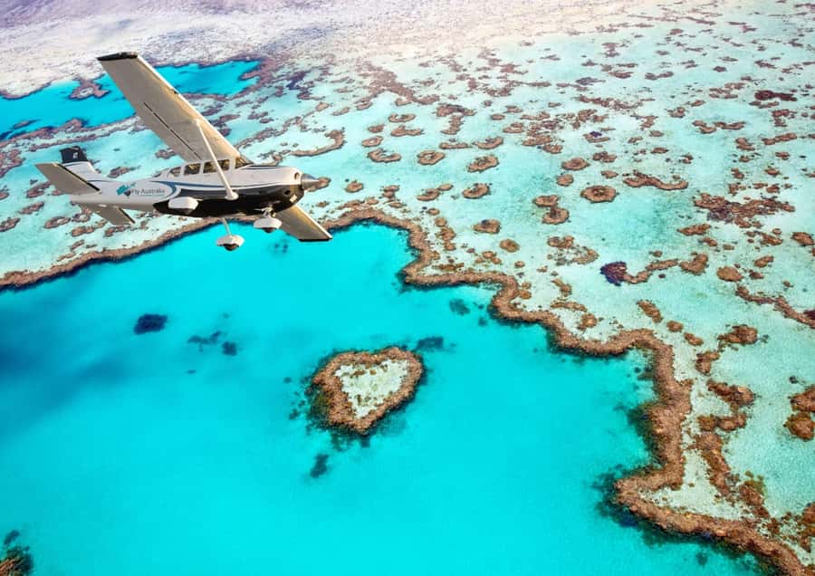 Airlie Beach: Whitsunday Islands & Heart Reef Scenic Flight - Getting to the airport: pickup timing and your three options