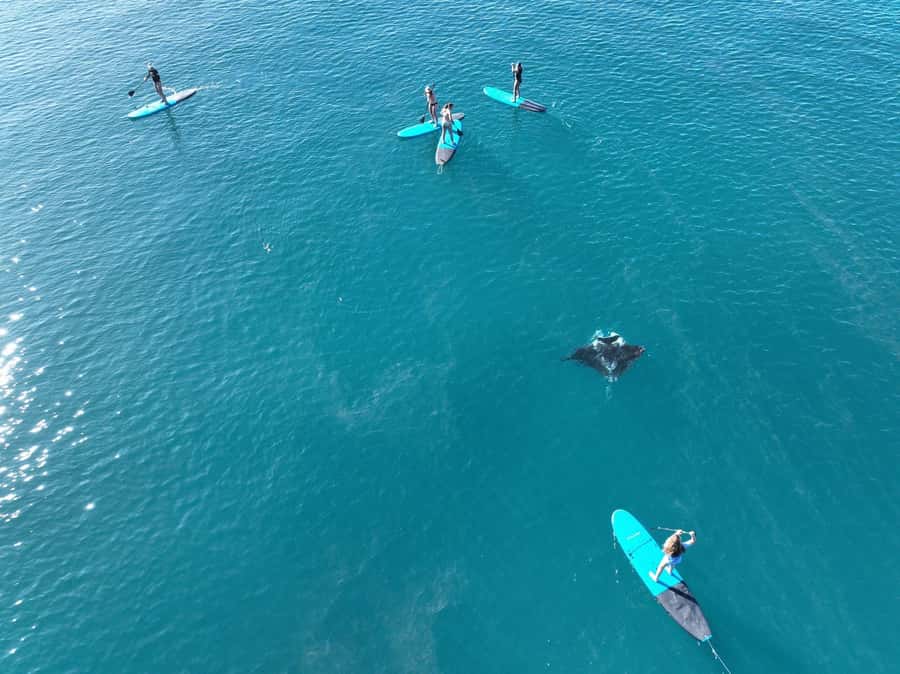 Airlie Beach: Whitsunday Islands Sailing, SUP & Snorkel Tour - BYO drinks, no purchases onboard, and how to keep the vibe right