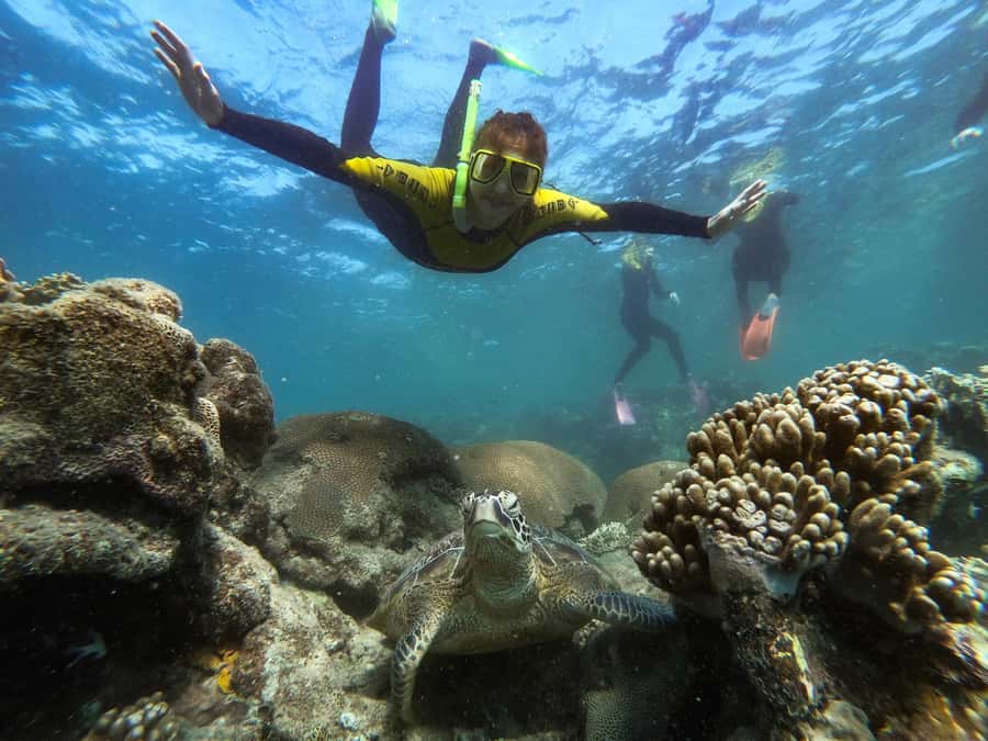 Airlie Beach: Whitsunday Islands Sailing, SUP & Snorkel Tour - What to bring so you do not lose time on a beautiful day