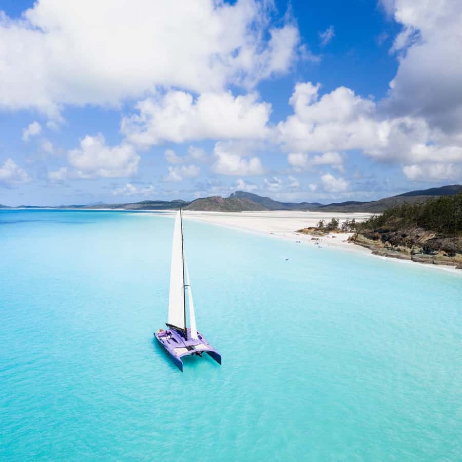 Airlie Beach: Whitsundays Full-Day Camira Sailing Adventure - Should you book Camira for your Whitsundays day?