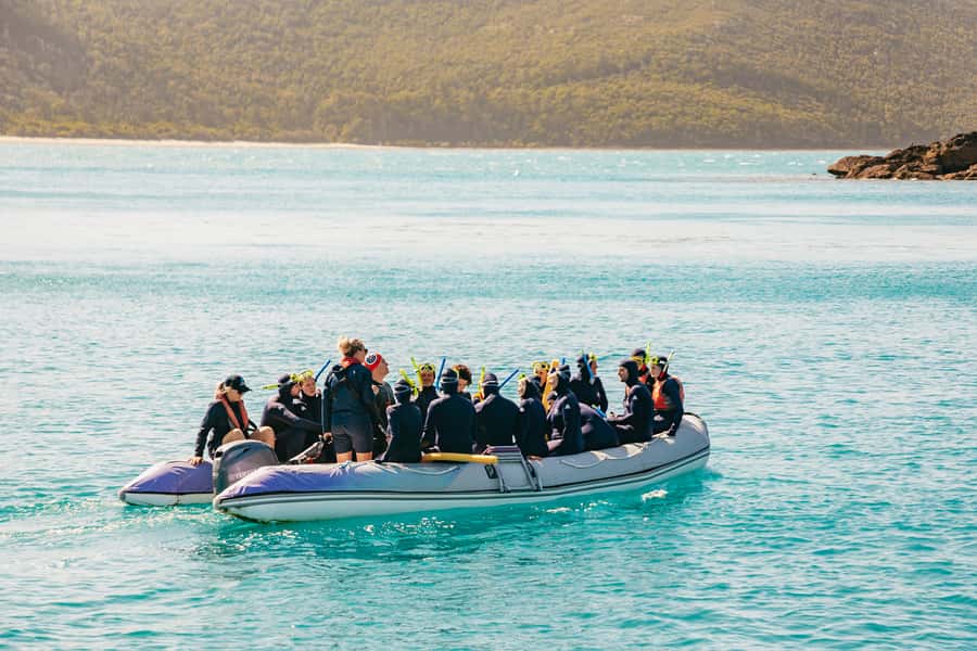 Airlie Beach: Whitsundays Full-Day Camira Sailing Adventure - Cruise Whitsundays morning setup, check-in timing, and the 10-hour reality