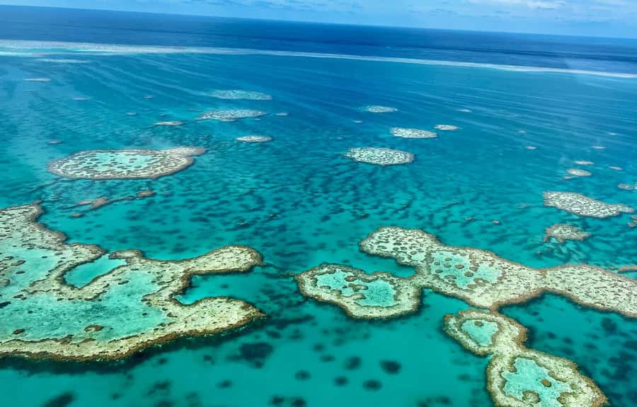Airlie Beach: Whitsundays & Great Barrier Reef Scenic Flight - Whitehaven Beach: the stripe-pattern effect you cannot get from land