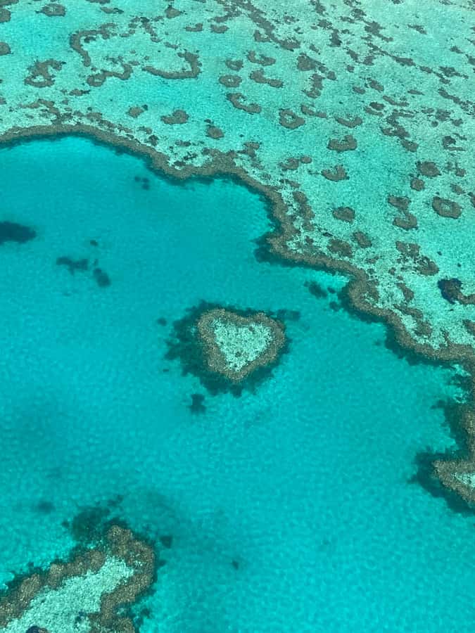 Airlie Beach: Whitsundays & Great Barrier Reef Scenic Flight - The 70-minute flight: how you get big sights without a full-day trip