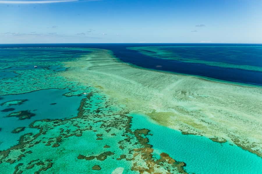 Airlie Beach: Whitsundays & Heart Reef Scenic Flight - Key points before you book