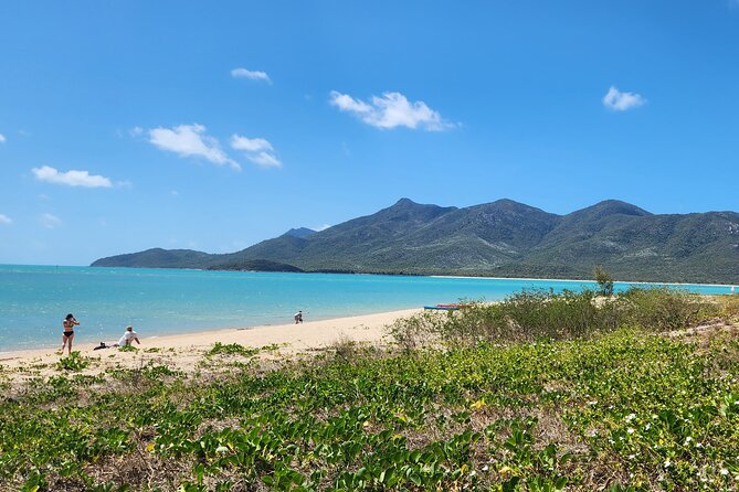 Airlie Coastal Beach Adventures - Dingo Beach & Cape Gloucester - Stop 2: Dingo Beach, Shade, and a Relaxed Walk