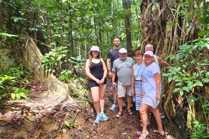 Airlie Waterfalls & Rainforest Bushwalk Eco Adventure - Cedar Creek Falls Rock Pools: Your First Real Reward