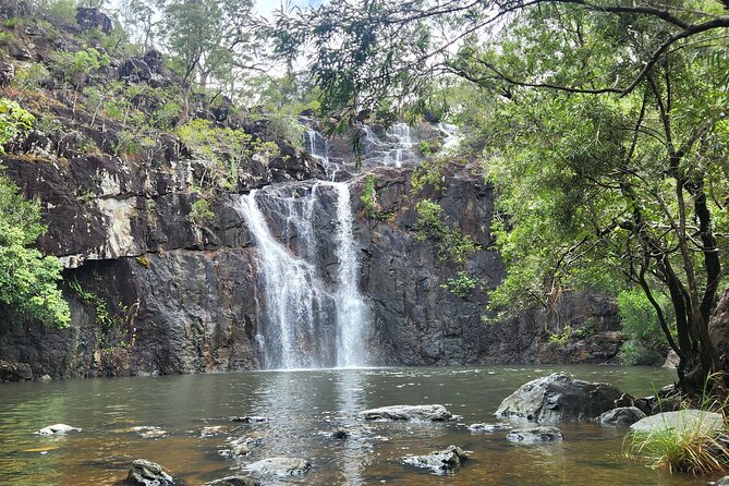 Airlie Waterfalls & Rainforest Bushwalk Eco Adventure - Price and Inclusions: Is $85.56 Good Value?