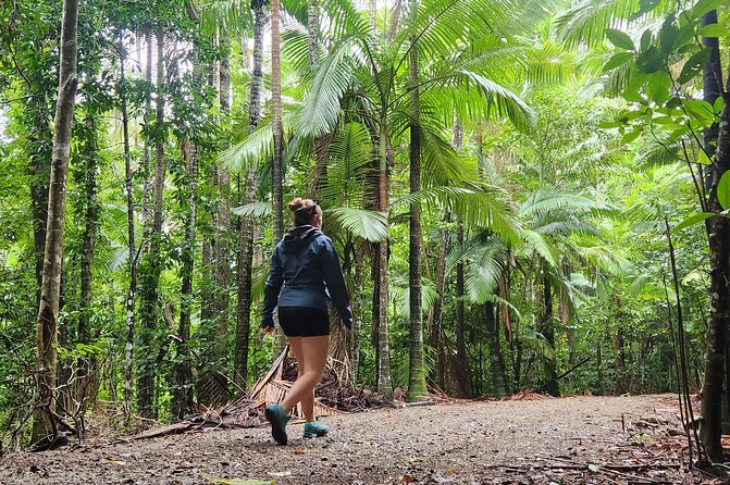 Airlie Waterfalls & Rainforest Bushwalk Eco Adventure - Guide Energy Matters, and It Shows in the Details