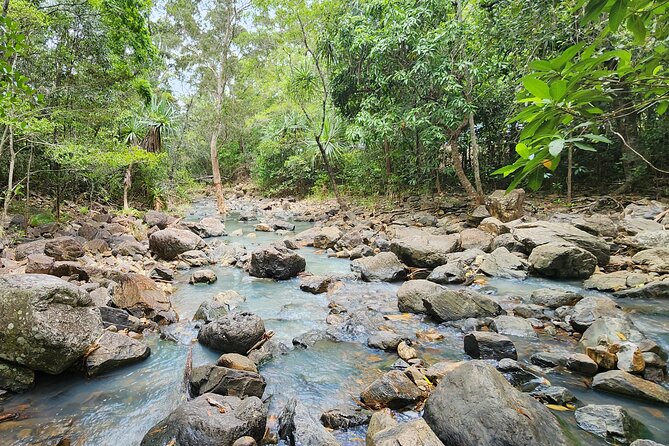 Airlie Waterfalls & Rainforest Bushwalk Eco Adventure - Who This Tour Suits Best in Airlie