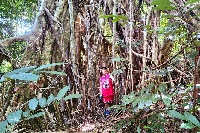 Airlie Waterfalls & Rainforest Bushwalk Eco Adventure - What to Bring So You’re Comfortable at Both Stops