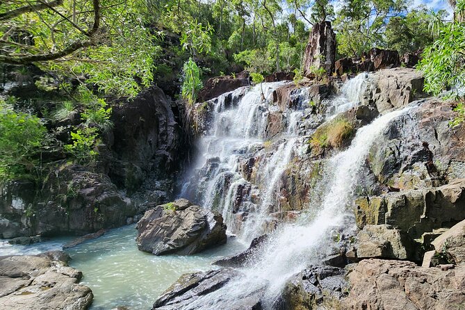 Airlie Waterfalls & Rainforest Bushwalk Eco Adventure - Should You Book This Airlie Waterfalls and Rainforest Bushwalk?