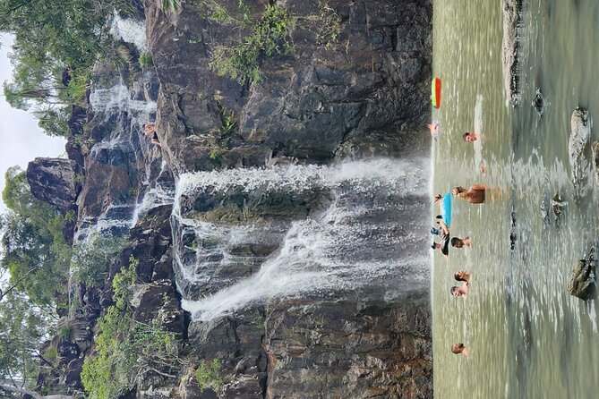 Airlie Waterfalls & Rainforest Bushwalk Eco Adventure - Conway National Park Rainforest Walk: Plants, Wildlife, and Stories