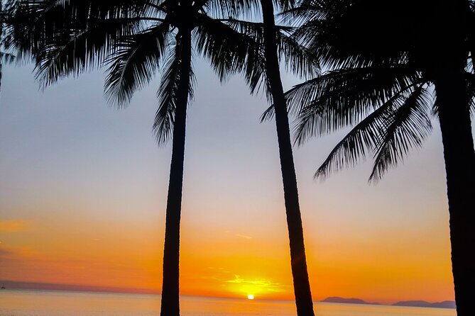 Airport Transfers between Cairns Airport and Cairns City - Late-night delays and weather: how to avoid travel day frustration