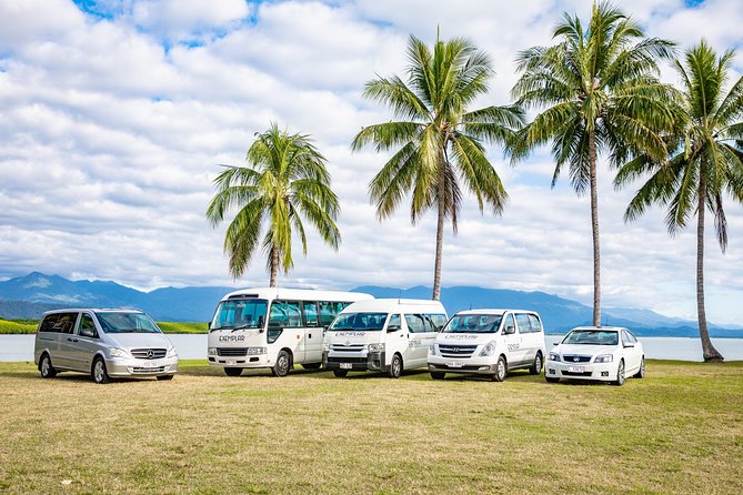 Airport Transfers between Cairns Airport and Palm Cove - Key highlights that make this transfer worth your time