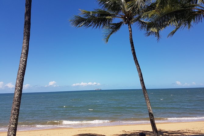 Airport Transfers between Cairns Airport and Palm Cove - Who this transfer is best for (and who might want something else)