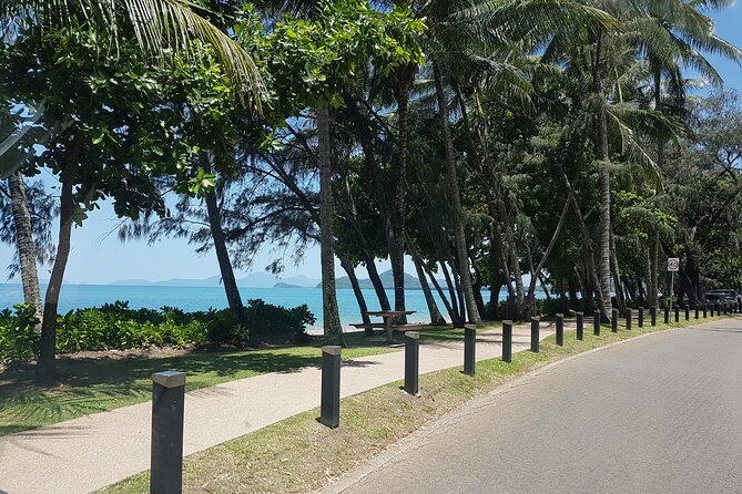 Airport Transfers between Cairns Airport and Port Douglas - Price and Value: Why $43.39 Often Beats the Taxi Plan