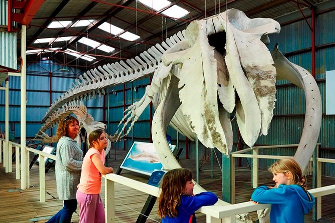 Albany's Historic Whaling Station Admission Ticket - Entering Albany’s whaling station, not a generic museum stop