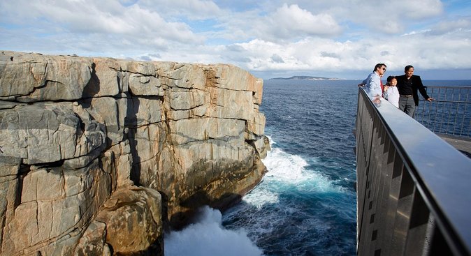 Albany Wildlife and Scenic Cruise - Kangaroo-Spotting Tips That Actually Help on This Kind of Tour