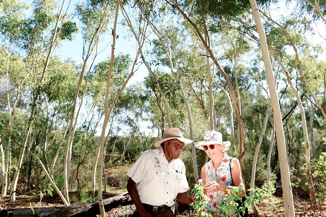 Alice Springs Desert Park General Entry Ticket - Nocturnal House: ghost bats and bilbies after dark