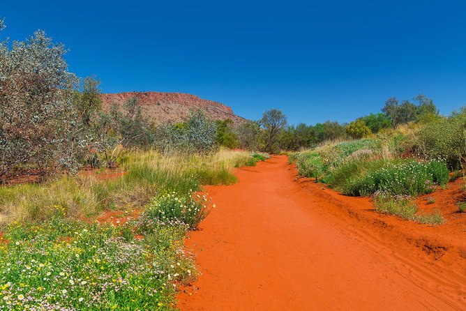 Alice Springs Desert Park General Entry Ticket - The waterhole aquarium and the desert life that hides in plain sight