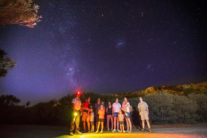 Alice Springs Desert Park Nocturnal Tour - The 8:00 pm start, small group vibe, and how long it really takes