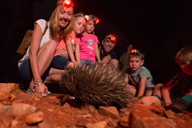 Alice Springs Desert Park Nocturnal Tour - Who this nocturnal tour is best for