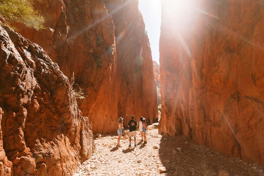 Alice Springs: West MacDonnell Ranges & Standley Chasm Tour - Ellery Creek Big Hole (Udepata): swim time plus a proper picnic break