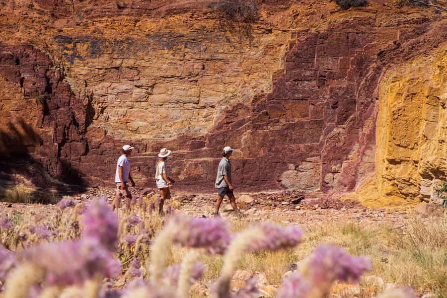 Alice Springs: West MacDonnell Ranges & Standley Chasm Tour - Mount Sonder Lookout: a quick high point worth the stop