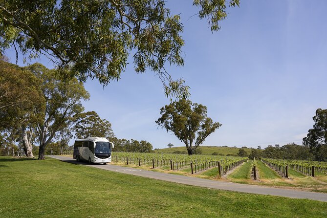 All Inclusive Barossa Valley Food and Wine Tour - Key Things I’d Prioritize on This Barossa Tour