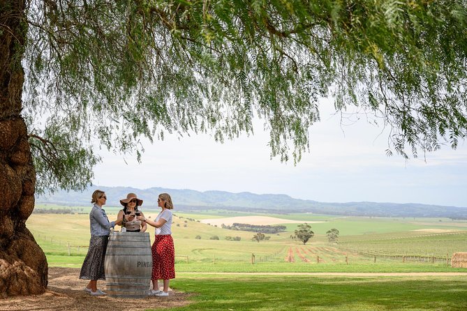 All Inclusive Barossa Valley Food and Wine Tour - What All-Inclusive Usually Means (And What You Still Might Pay For)