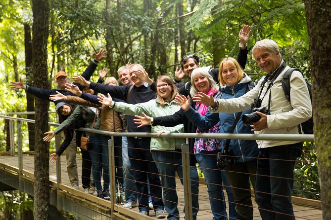 All Inclusive Blue Mountain,Scenic World,Lunch,Koalas,ferry - A full day that strings together Blue Mountains views and a calm harbour finish