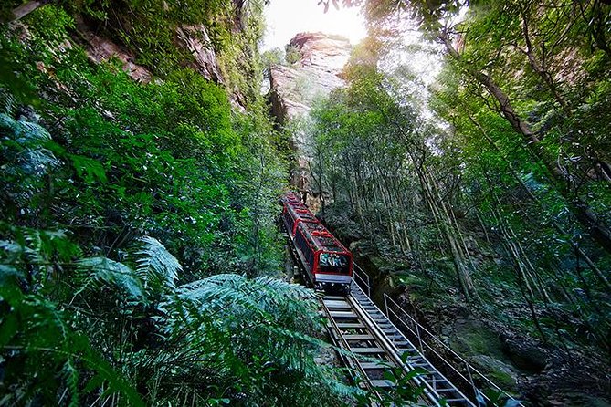 All Inclusive Blue Mountain,Scenic World,Lunch,Koalas,ferry - The ferry ride back: Parramatta River views and an easy end to the day