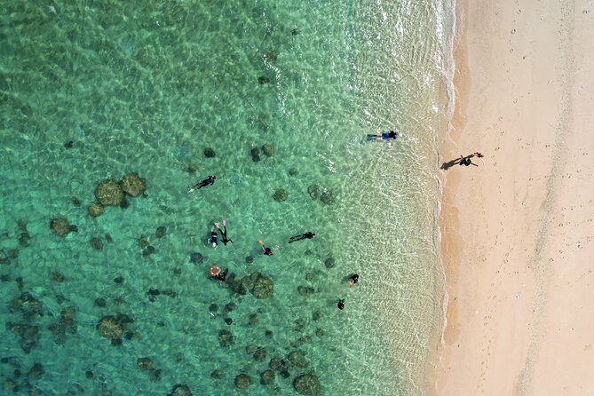 All Inclusive Day Tour to Frankland Islands Great Barrier Reef - Marine Life Highlights You Can Actually Look For