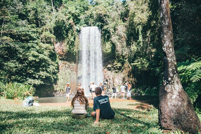 All Inclusive Waterfalls and Rainforest Tour from Cairns - Millaa Millaa Falls: the classic single-drop you came for