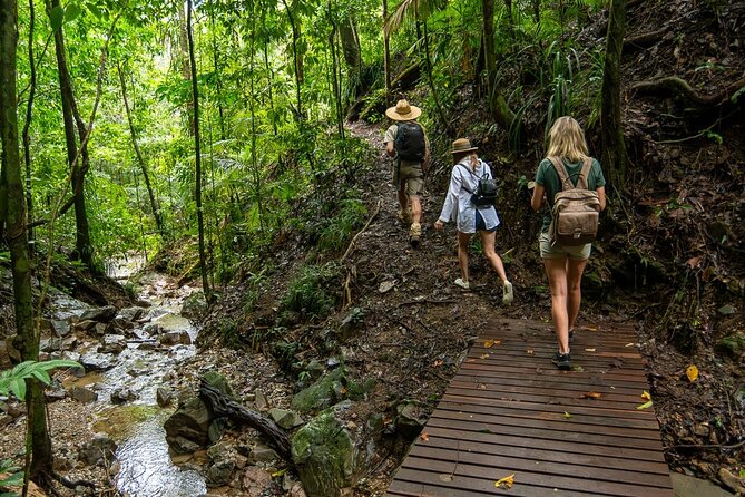 Amazing Daintree Rainforest Tour Waterfall Hike, Lunch, Swim & Crocodile Cruise - Port Douglas to the Daintree, Minus the Big-Tour Vibe