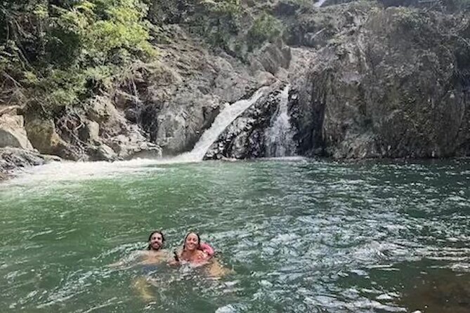 Amazing Daintree Rainforest Tour Waterfall Hike, Lunch, Swim & Crocodile Cruise - Solar-Powered Crocodile Cruise: Wildlife Time on the Daintree River