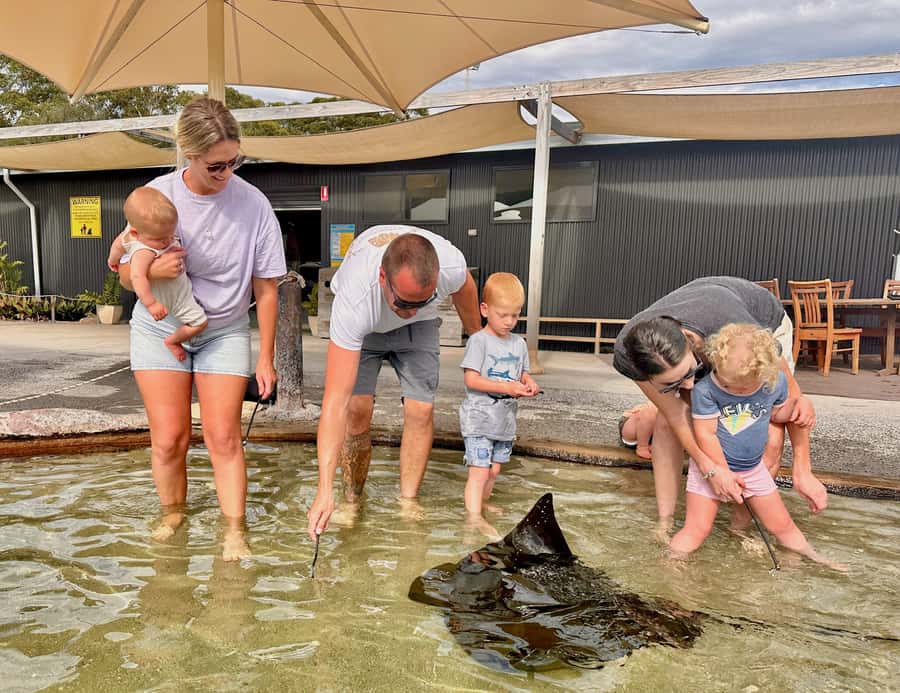 Anna Bay: Irukandji Entry Pass with Shallows Encounter - Key things to know before you book
