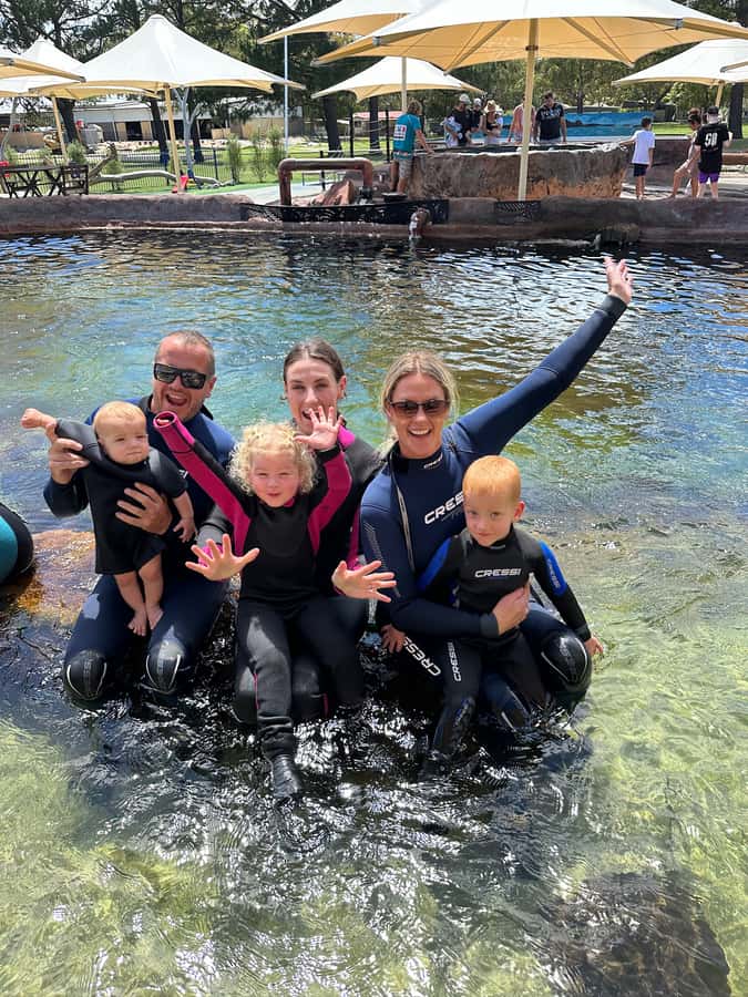 Anna Bay: Irukandji Entry Pass with Shallows Encounter - Price and value: why $29 can feel like a lot, or a bargain